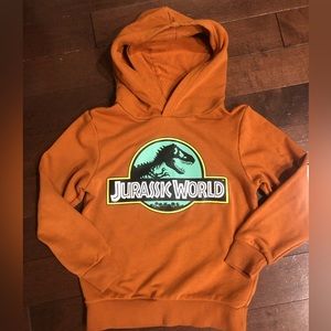 Jurassic Park Sweatshirt. Size 6-8. Dinosaur youth sweater.